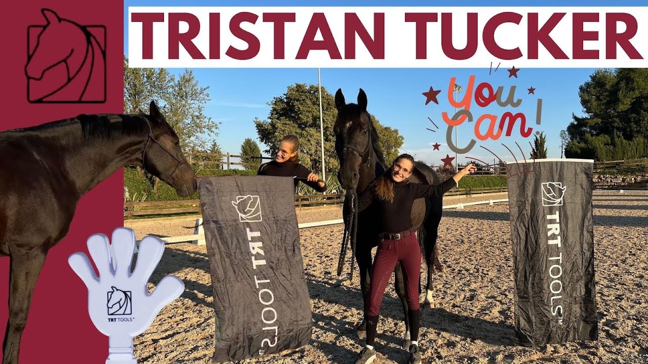 Aprende el método Tristan Tucker – Doma natural aplicada a la Doma clásica