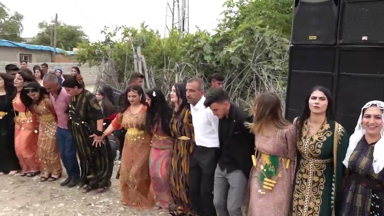 Sedat Olgar Düğünü Şahinoğlu Ailesi Part 5 ( Hozan Leyla ) 2023