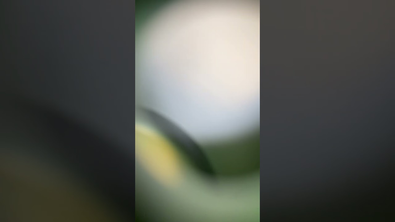 Xbox series X fan sound. It&rsquo;s normal?