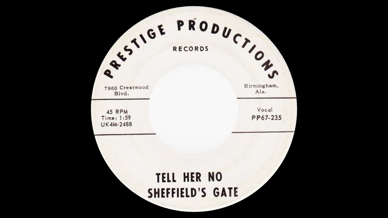 Tell Her No- Shieffield's Gate (lyrics) (cover The Zombies)