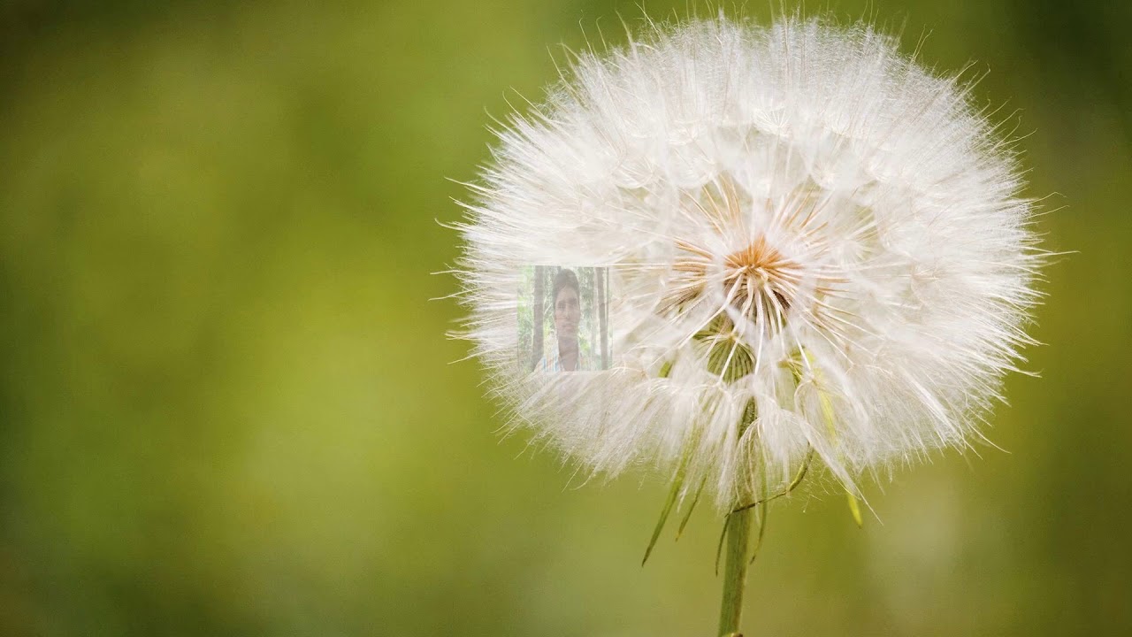 Edison Abraham pro social behavior