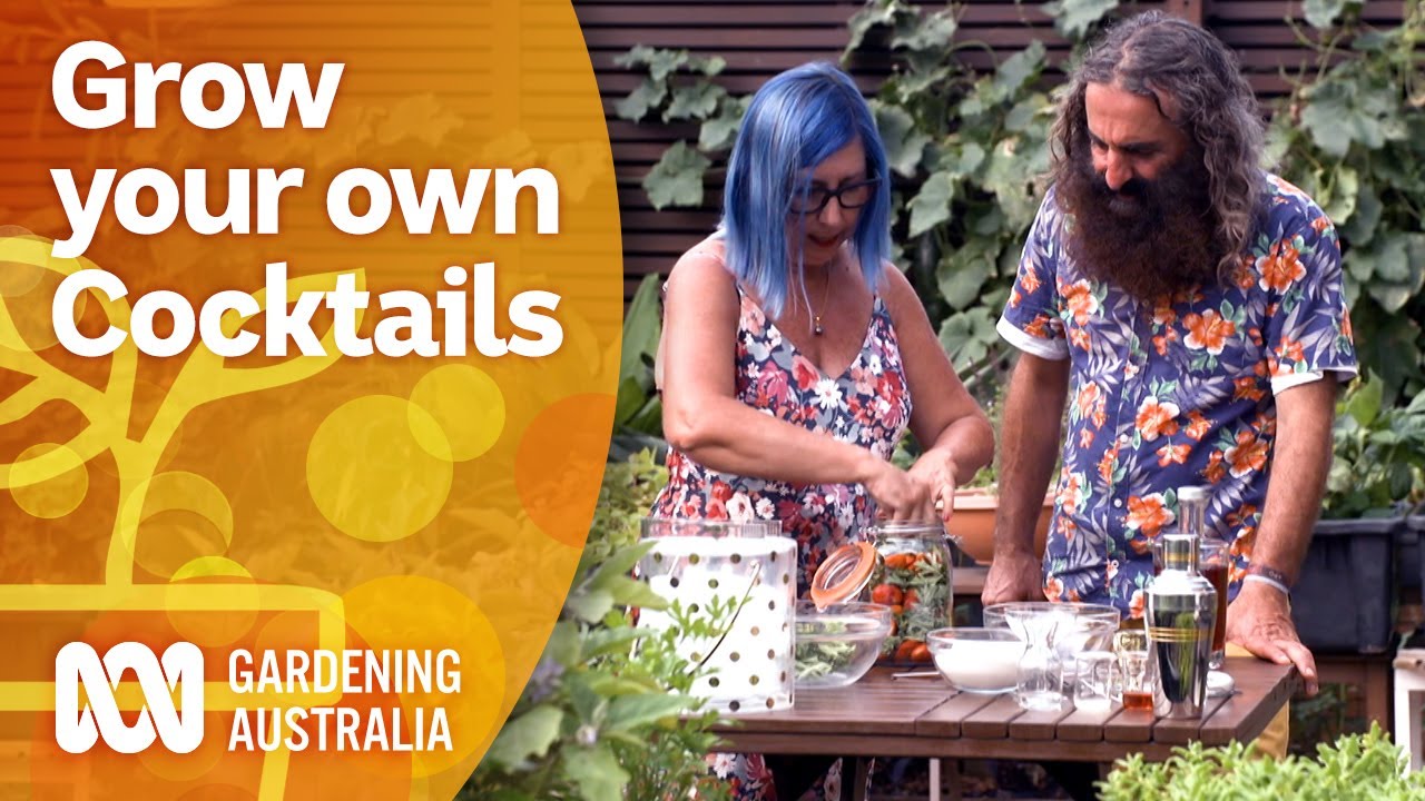 Grow your own botanical beverages like a cocktail aficionado | Gardening Australia