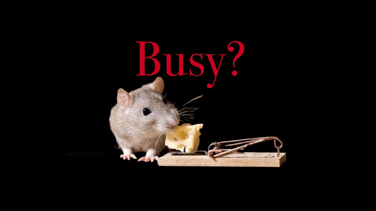 The #1 Lie In Time Management