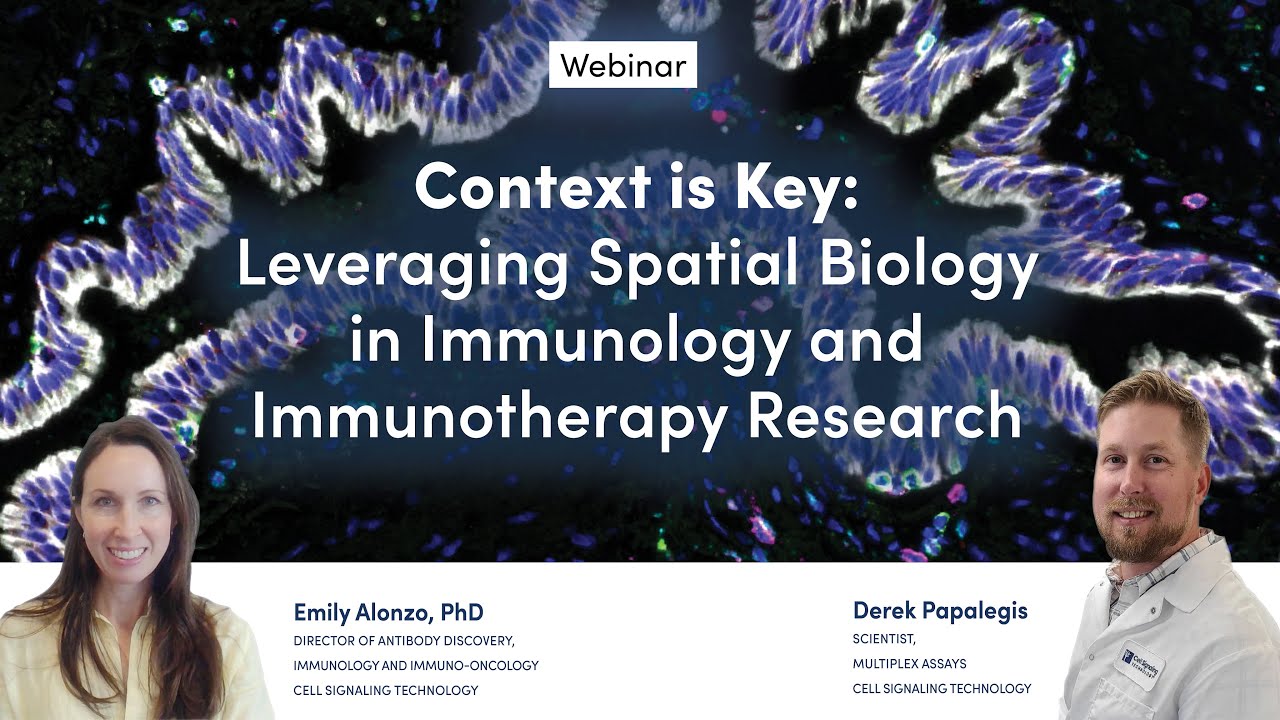 Context is Key: Leveraging Spatial Biology in Immunology and Immunotherapy