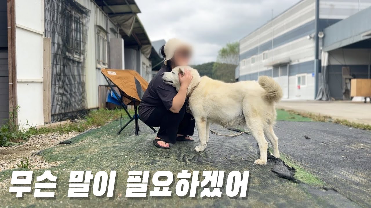 말은 필요 없어. 그저 눈빛으로 충분해.