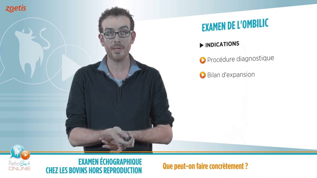 GUILLAUME BELBIS   ECHO