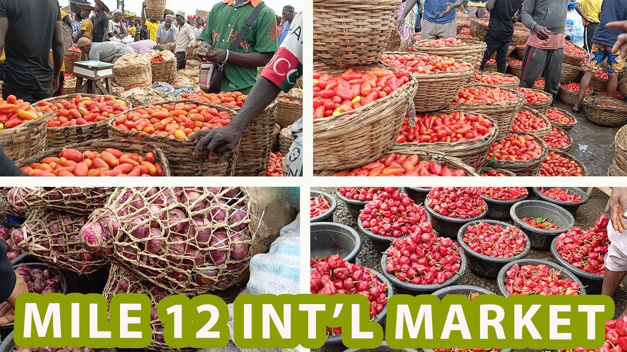 Mile 12 Market | Lagos Nigeria | UNEDITED MARKET VLOG | Shocking price of Basket of Tomatoes