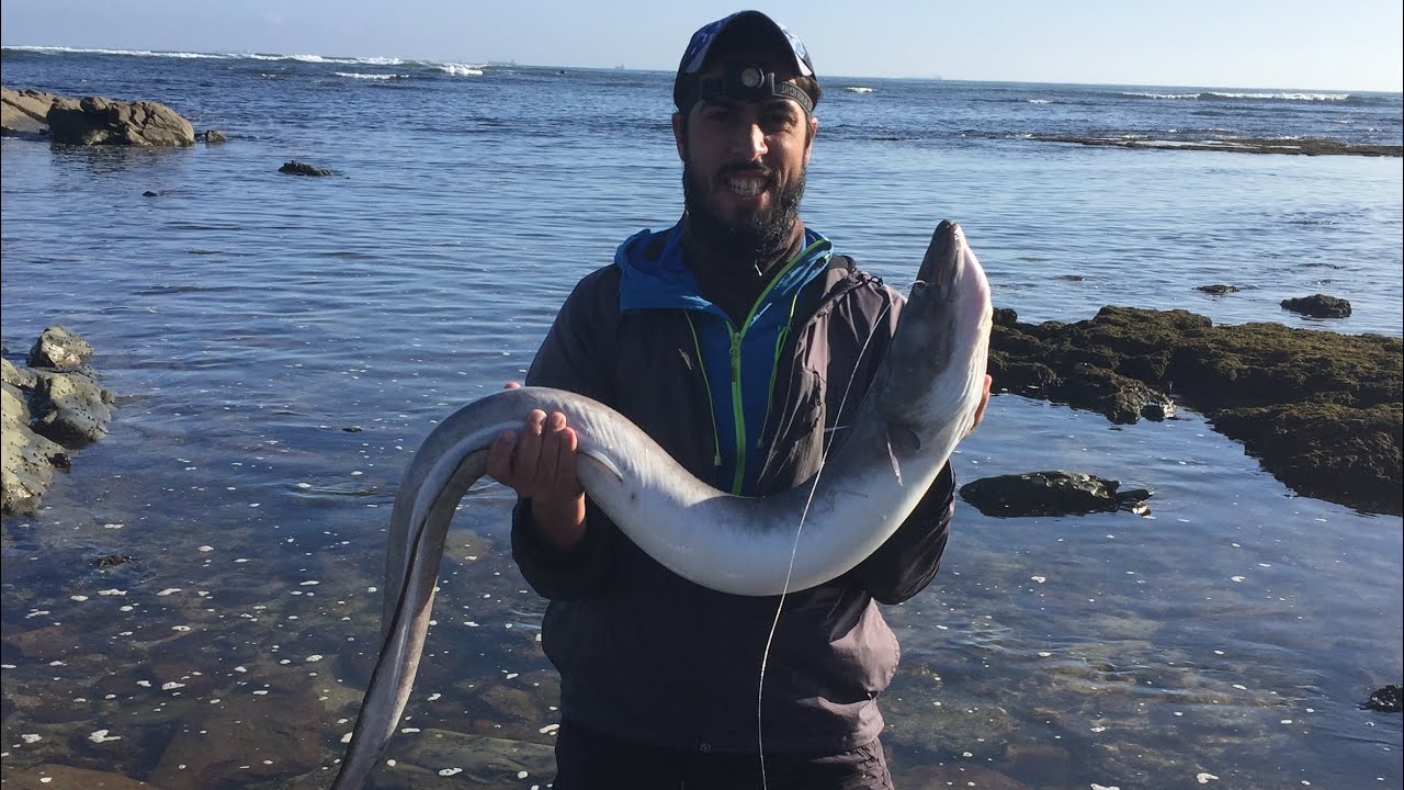 صيد افاعي البحر بالخيط و 200 صنارة(بالانغري الجزء الأول)