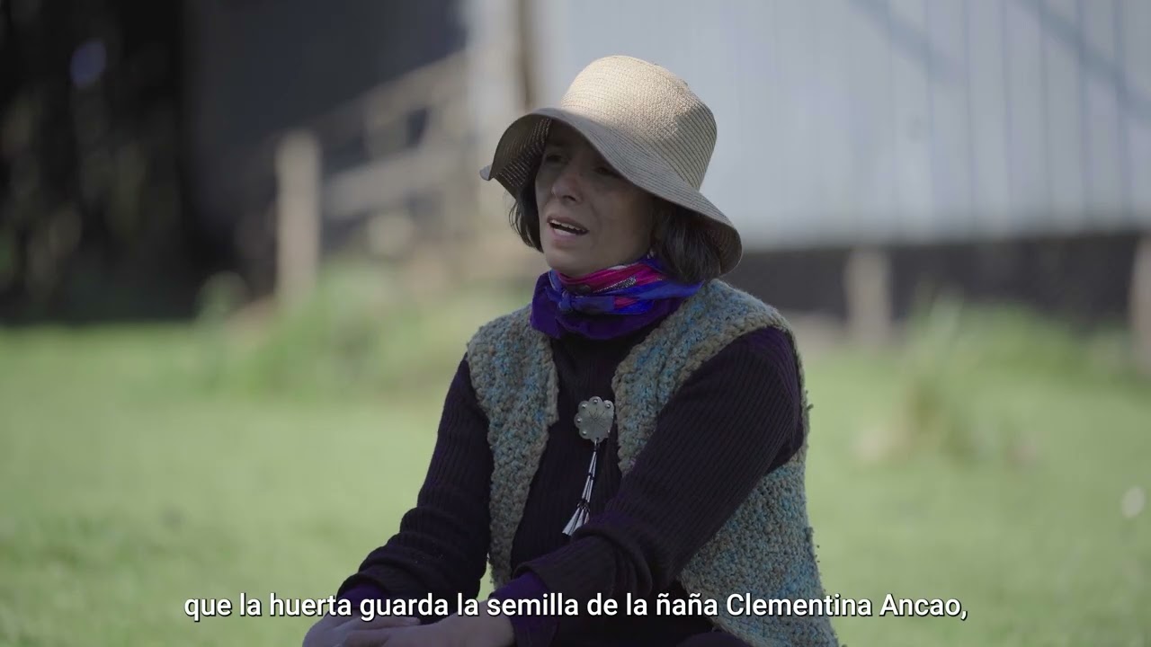 Patrimonio Alimentario Lafkenche: Cultivando Memoria y Resistencia desde las Huertas Familiares