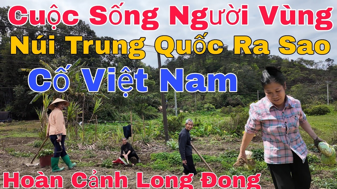 Cuộc Sống Người Miền Núi Trung Quốc Ra Sao ?Gặp Cô Việt Nam Số Phận Long Đong