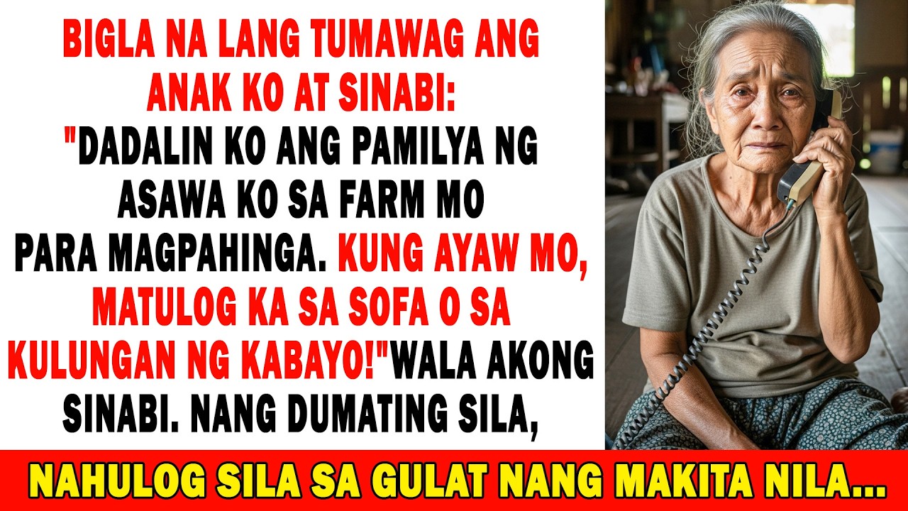 “Darating At Titira Rito Ang Pamilya Ng Asawa Ko😏Kung Ayaw Mo🤓Matulog Ka Sa Kuwadra🐎”Sabi Ng Anak Ko