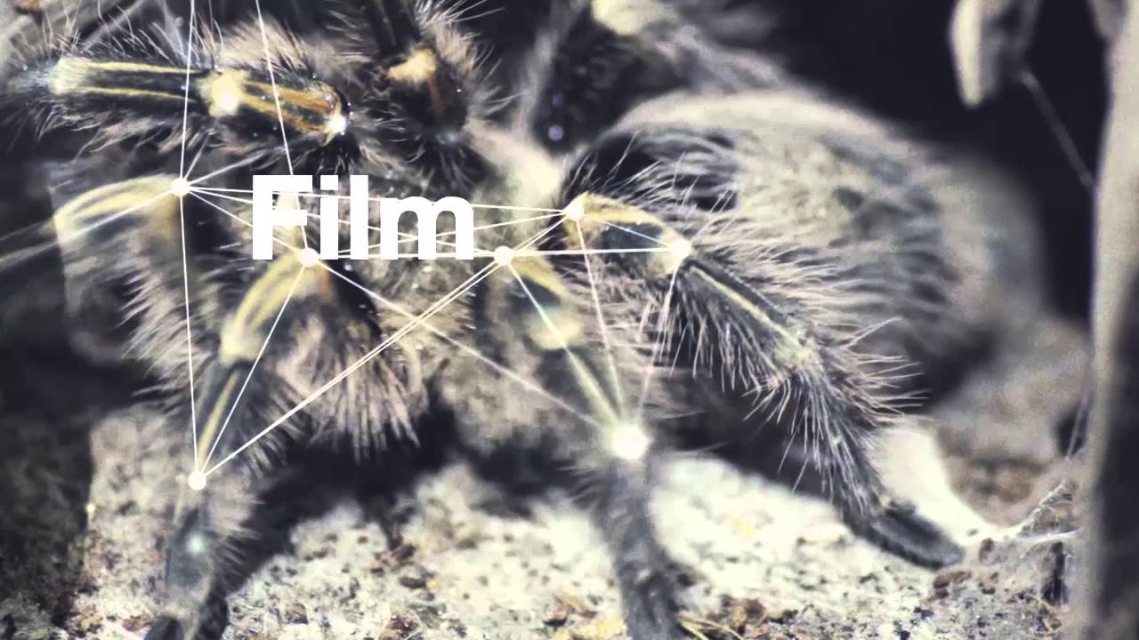 Multimedia Design Showreel - 1