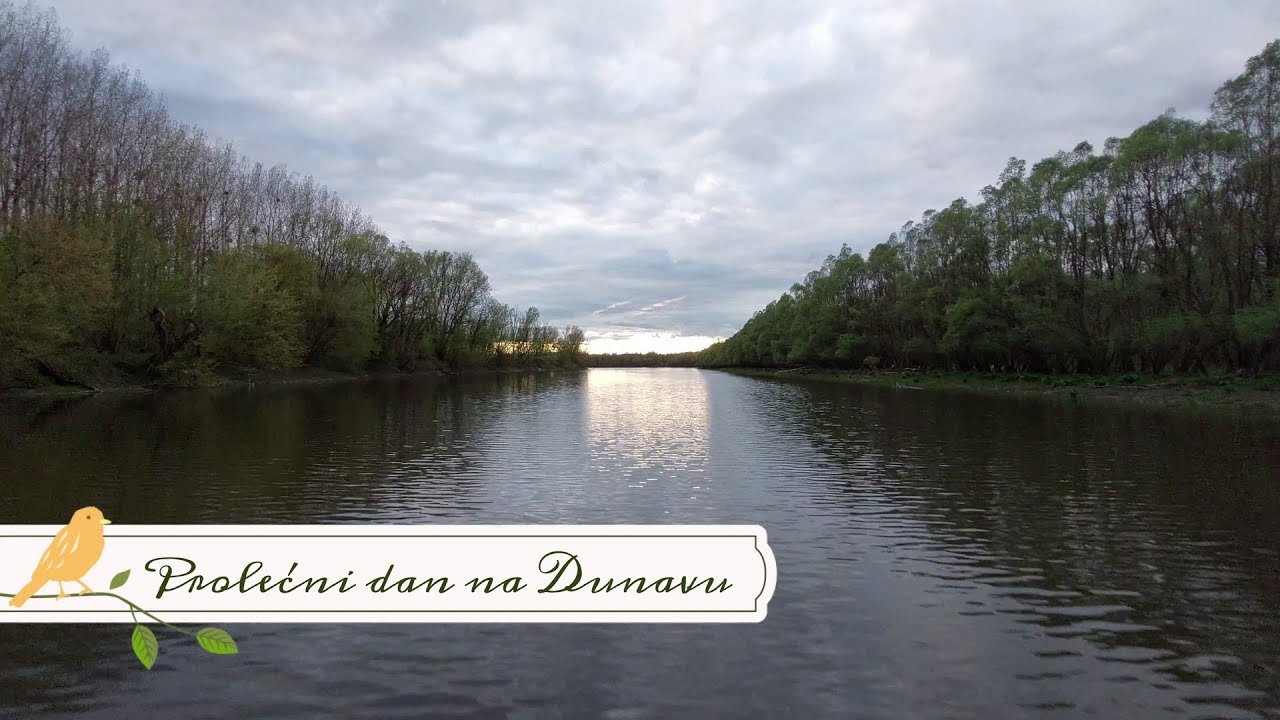 Prolećni dan na Dunavu