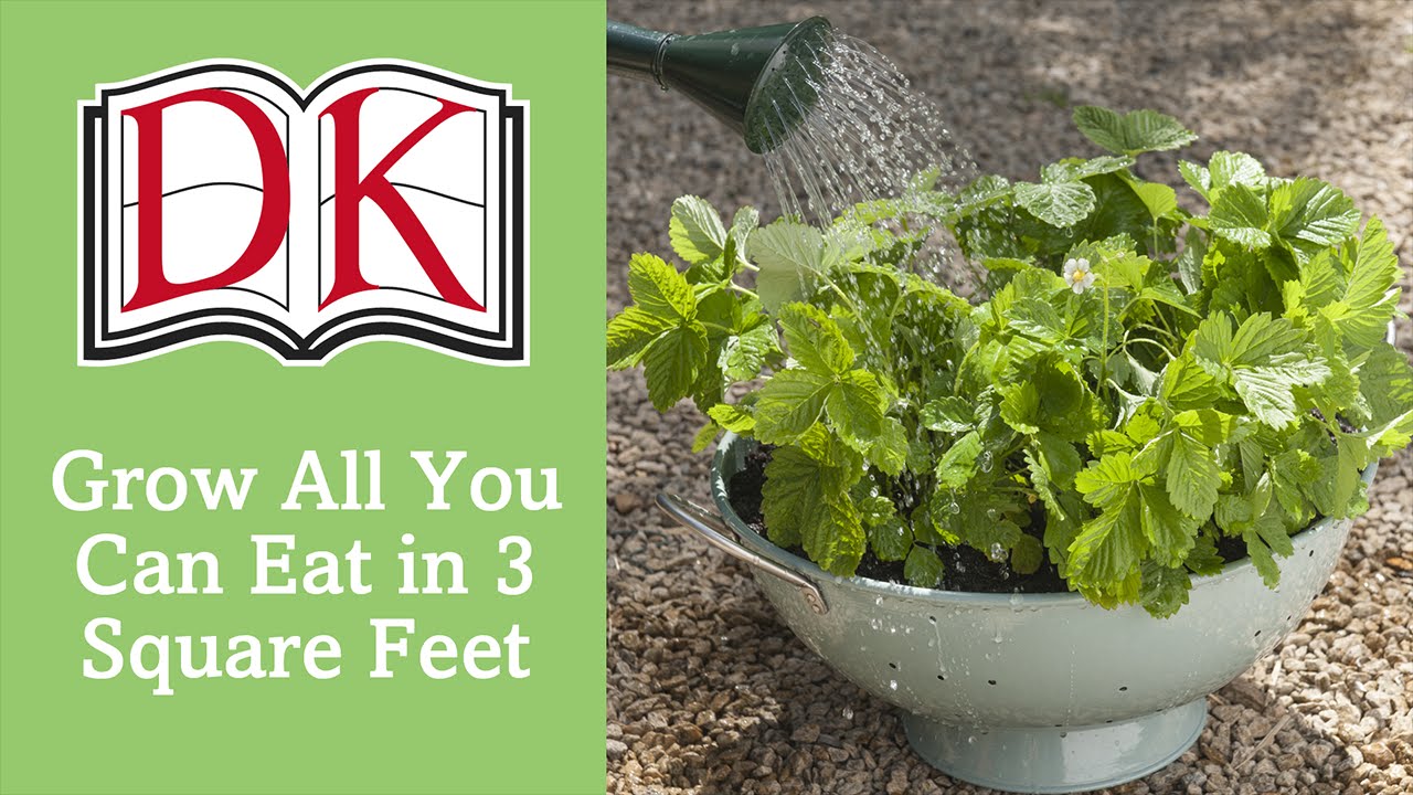 Grow All You Can Eat in 3 square Feet: Crops For Small Spaces