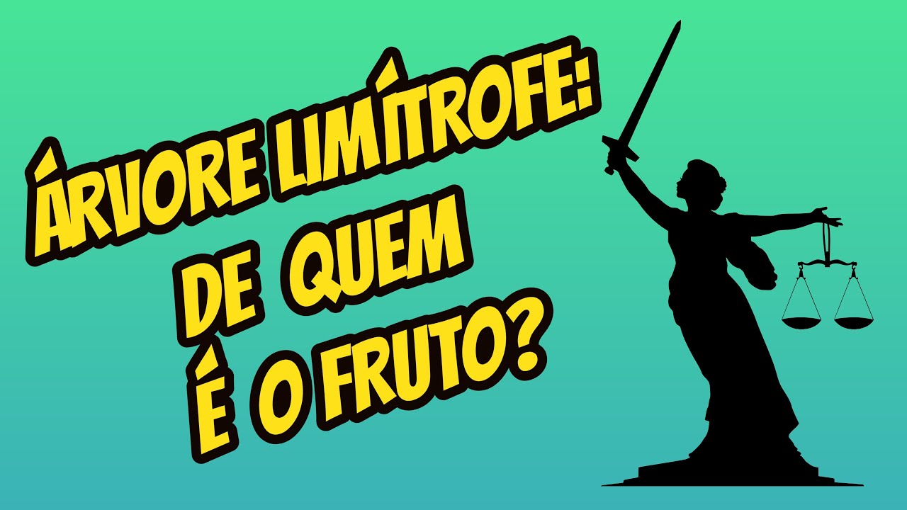 De quem é o fruto? Árvore Limítrofe. Arts. 1282 a 1284 do CC