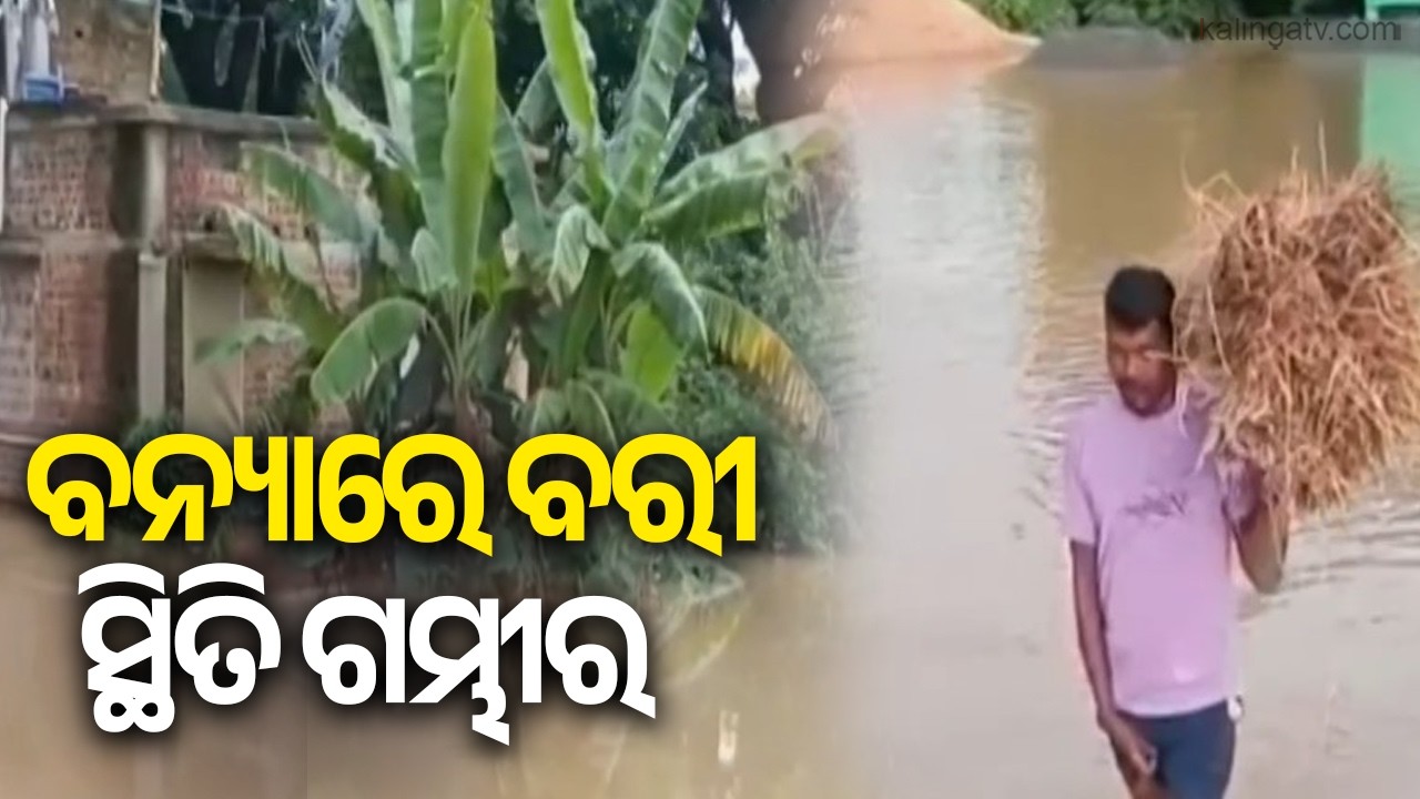 Jajpur&rsquo;s Bari Block Worst Hit by Floods as Several Villages Remain Waterlogged | Kalinga TV