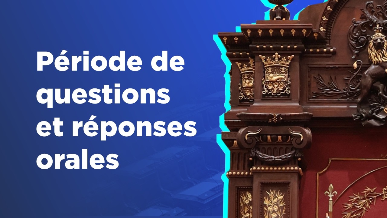 Période de questions et réponses orales | 12 février 2026