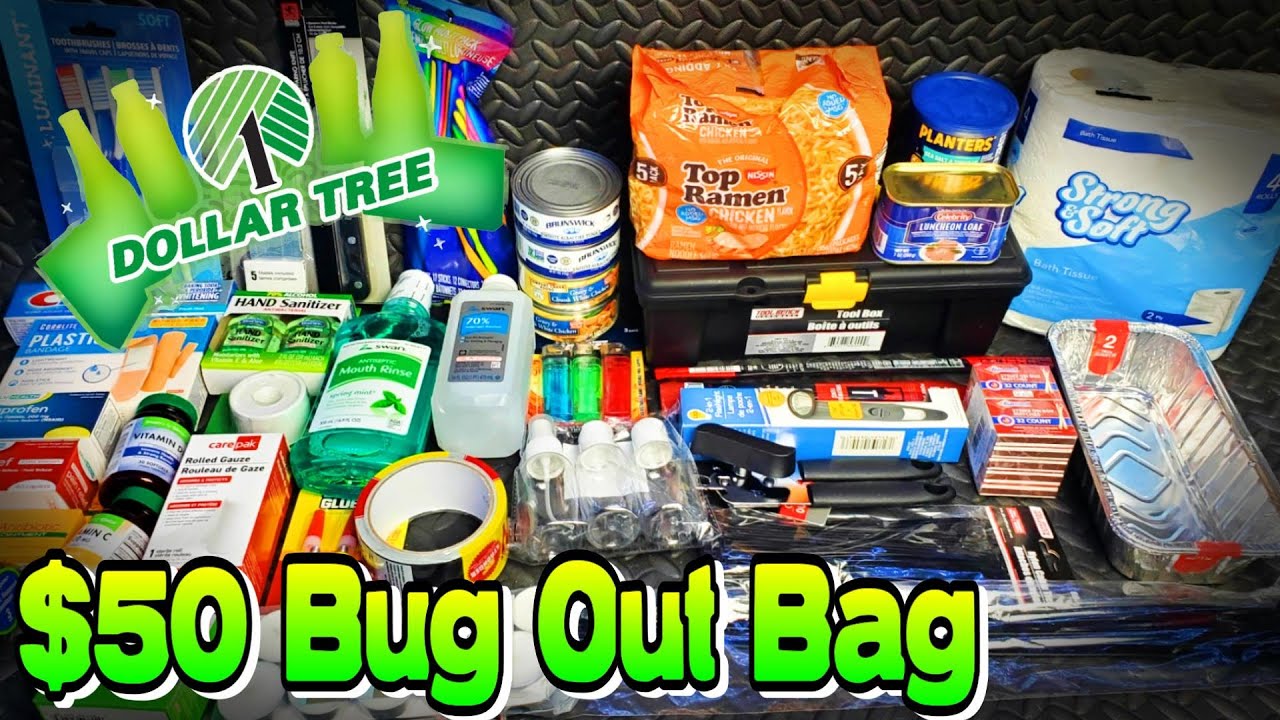 Дорожный тревожный набор Dollar Tree за 50 долларов: как сэкономить и как дополнить свои приготов...