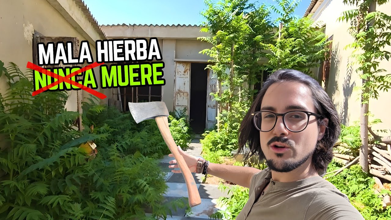 Así acabé con PLANTAS INVASORAS para RECUPERAR el PATIO de mi nave abandonada