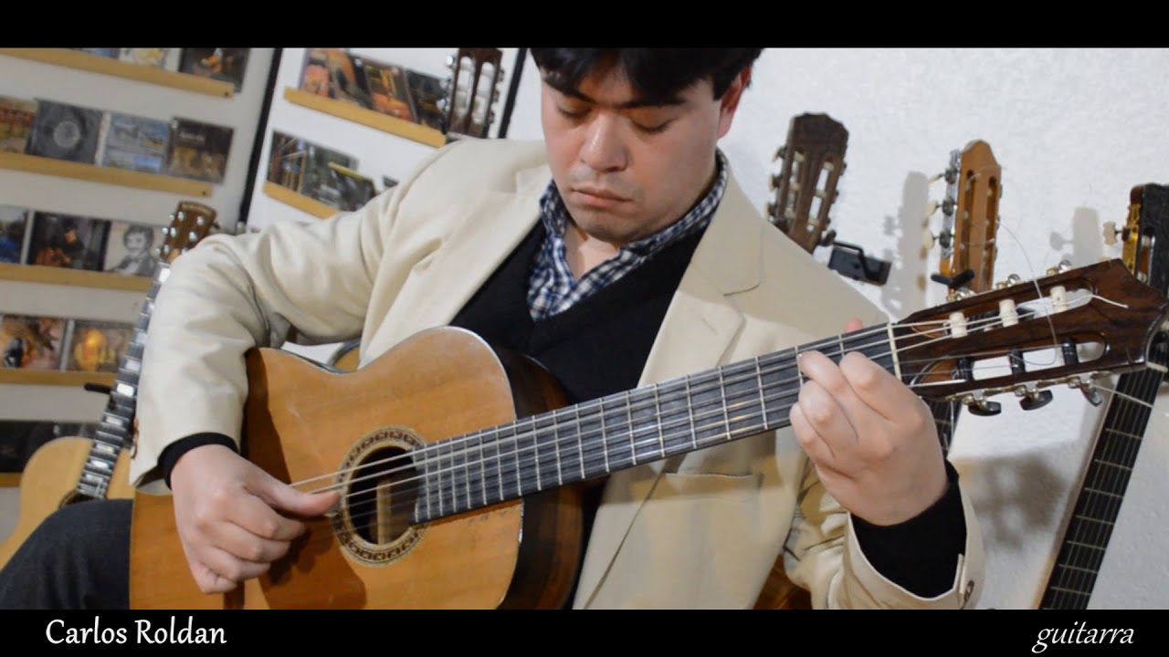 Pájaros en el monte - Abel Fleury