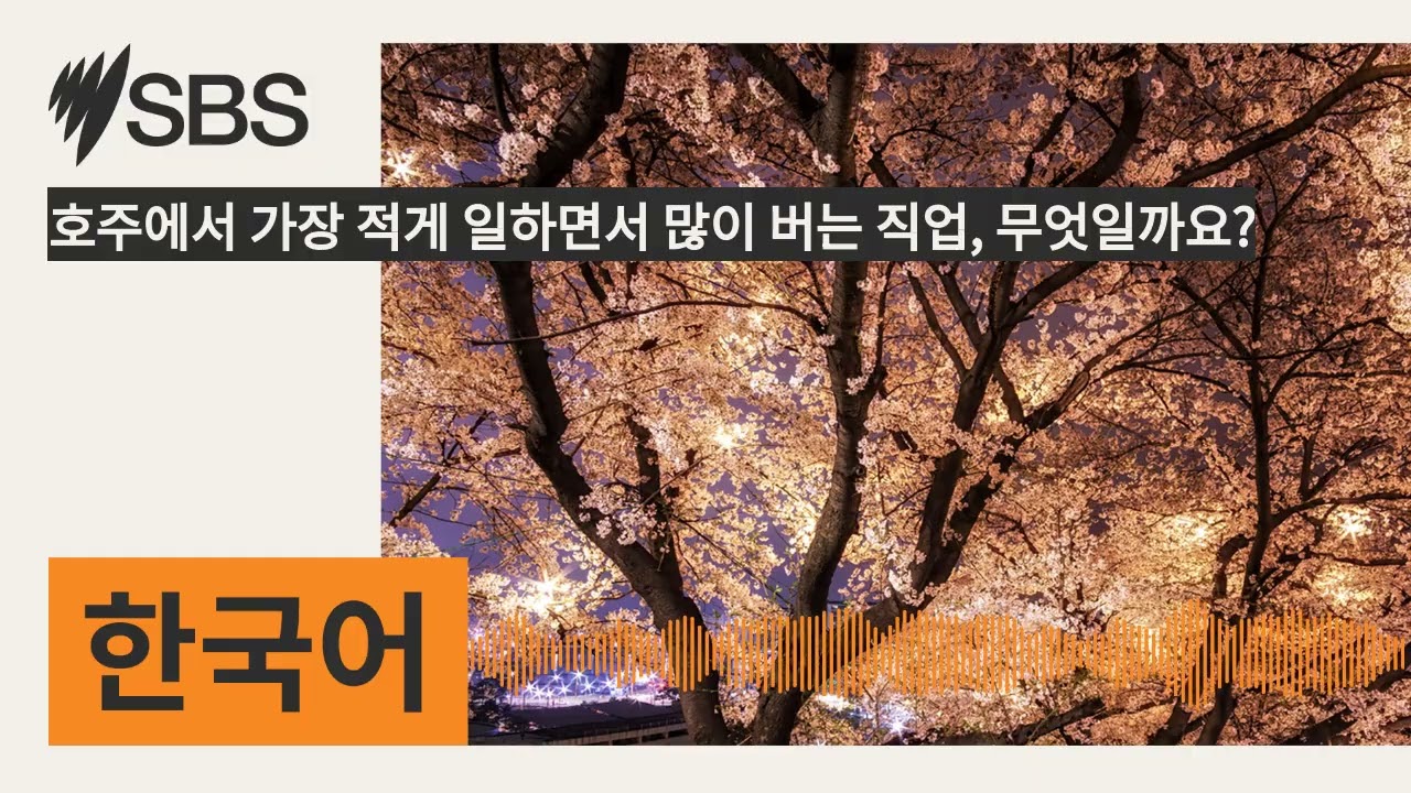 호주에서 가장 적게 일하면서 많이 버는 직업, 무엇일까요? | SBS Korean - SBS 한국어 프로그램