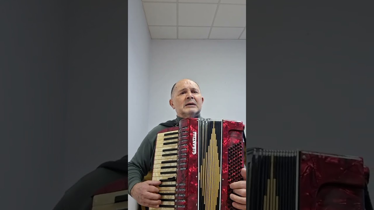 Jiřiny