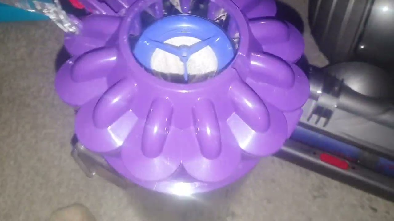 Dyson DC40 animal mk2 after view