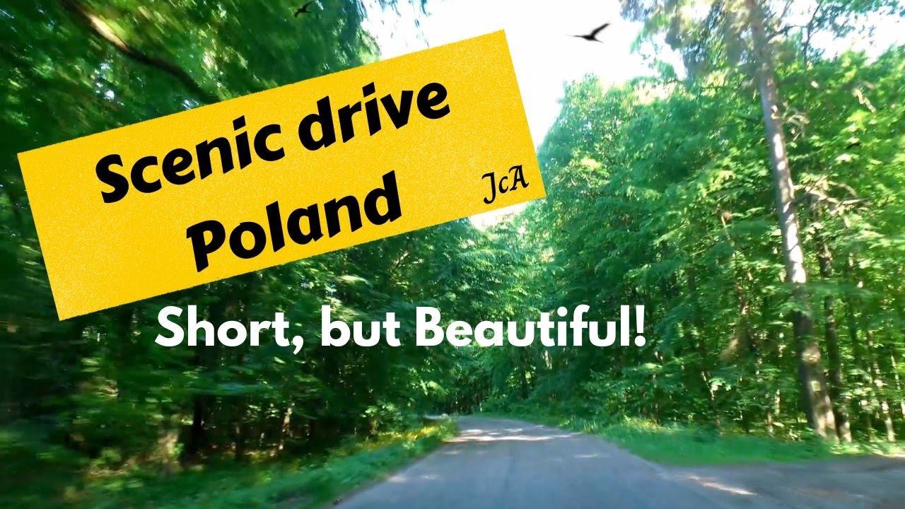 Beautiful Green Forest Scenic Drive in Poland