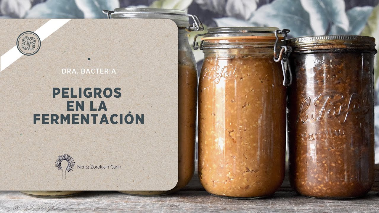 Dra. Bacteria: peligros en la fermentación