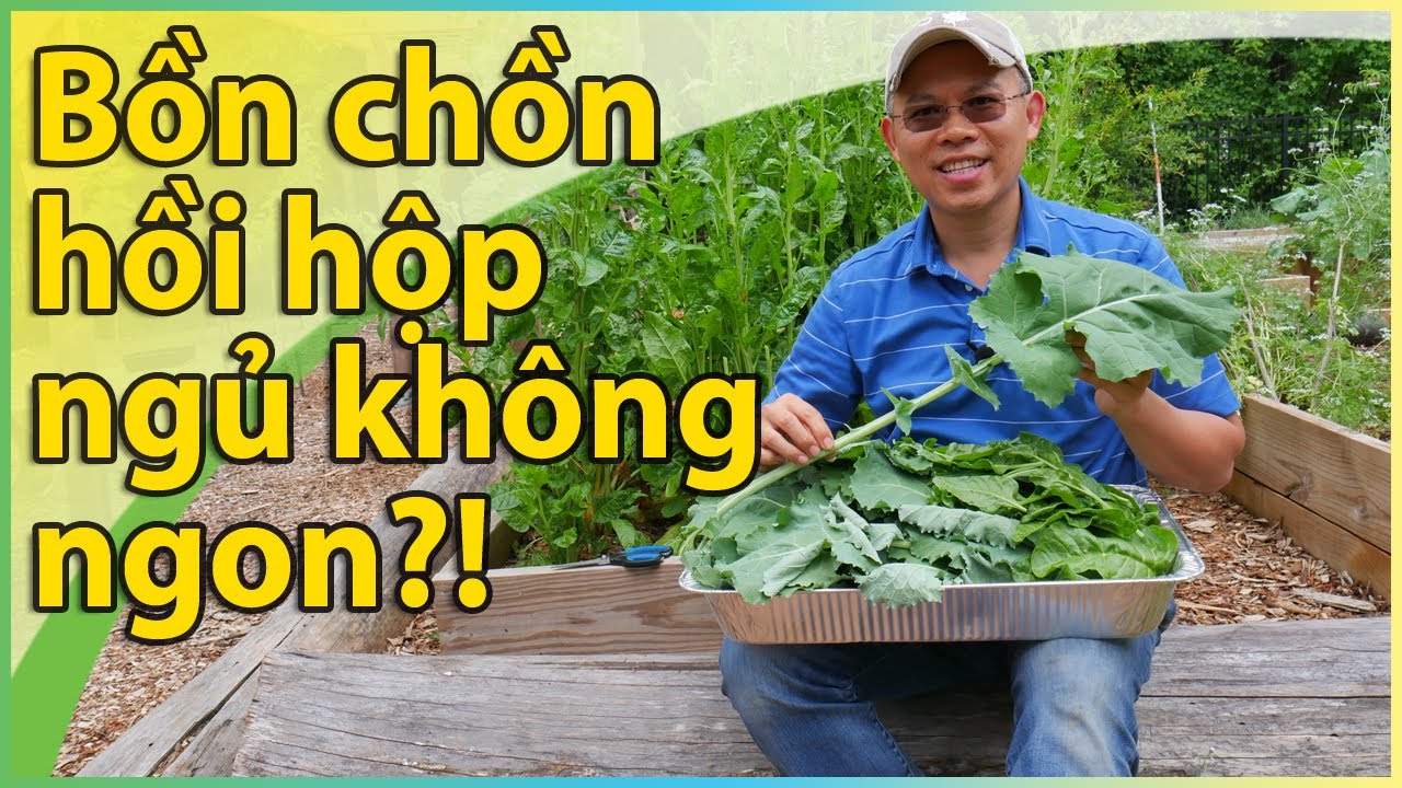Bồn chồn hồi hộp ngủ không ngon?!