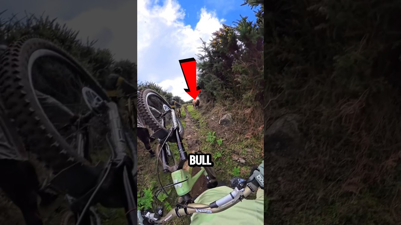 Never Run From a Bull 🚴&zwj;♂️🐂 (Big Mistake)