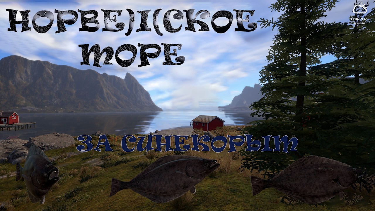 Норвежское море. Русская рыбалка 4  ( и снова синекорый )