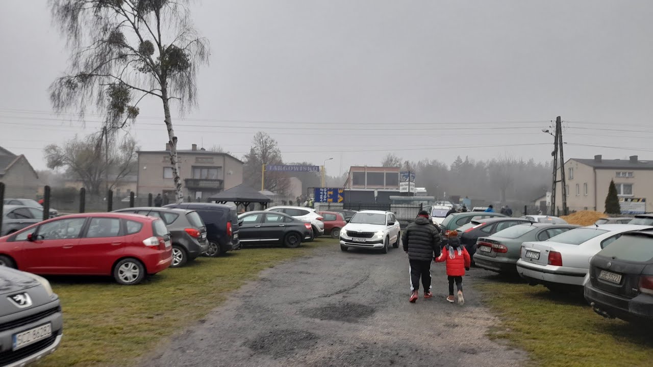  Nierada giełda zwierząt  I ptaków ozdobnych 