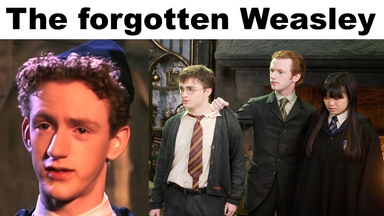 HARRY POTTER MEMES #37