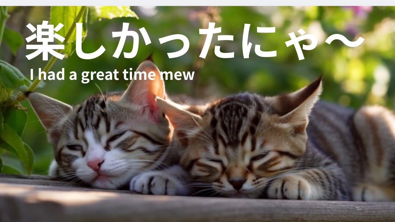 【仲良し子猫のお庭探検】Two friendly kittens exploring the garden
