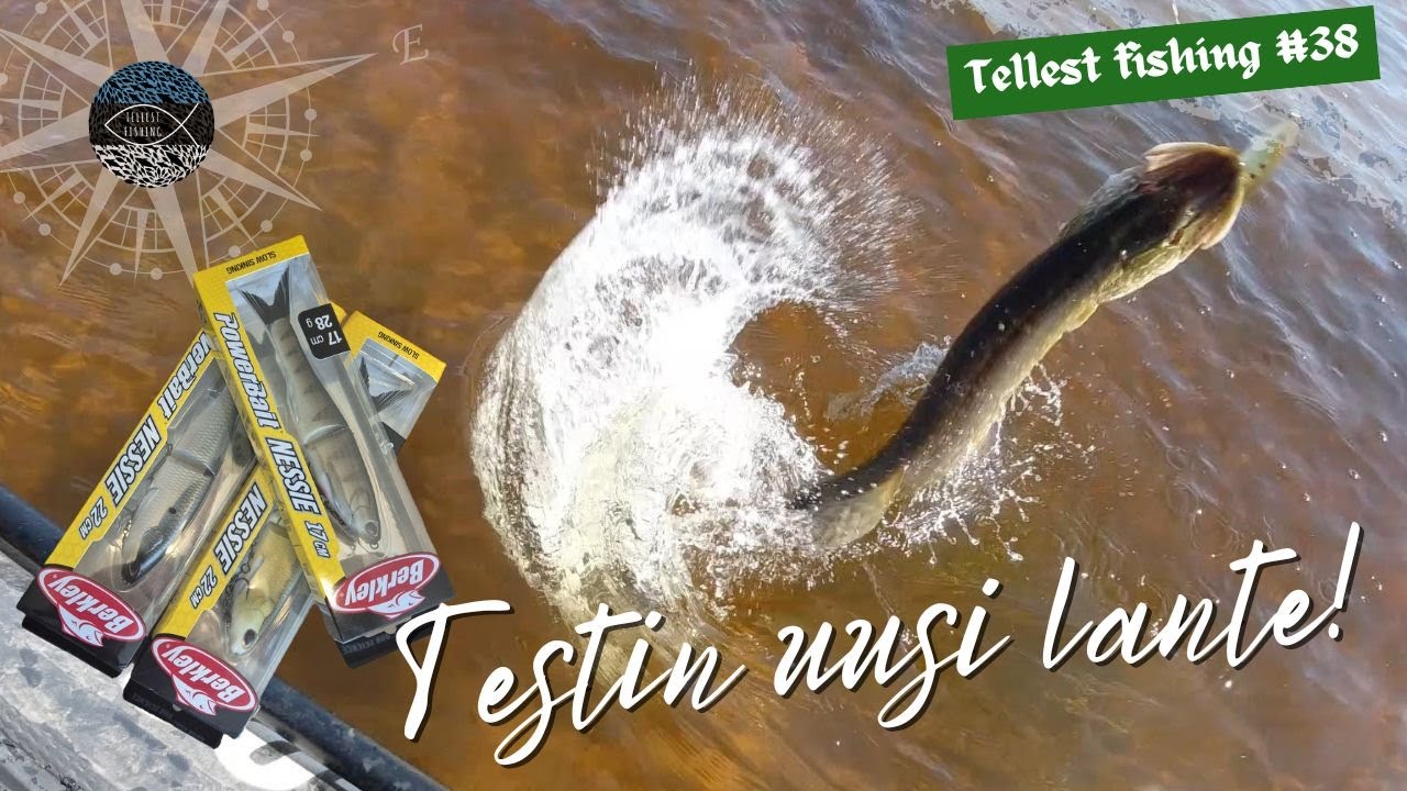 Aktiivne haugipüük uute lantidega - Berkley Nessie, EDI ja Storm