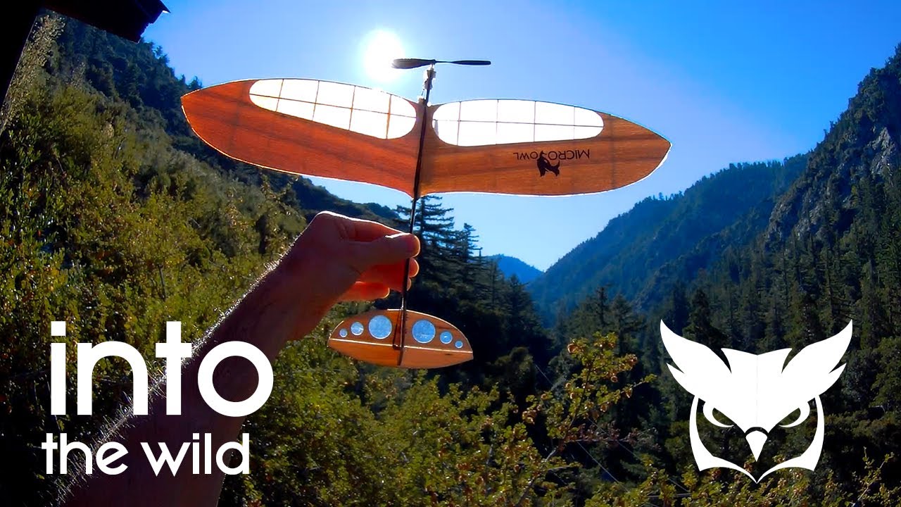 Into The Wild - Micro Owl RC