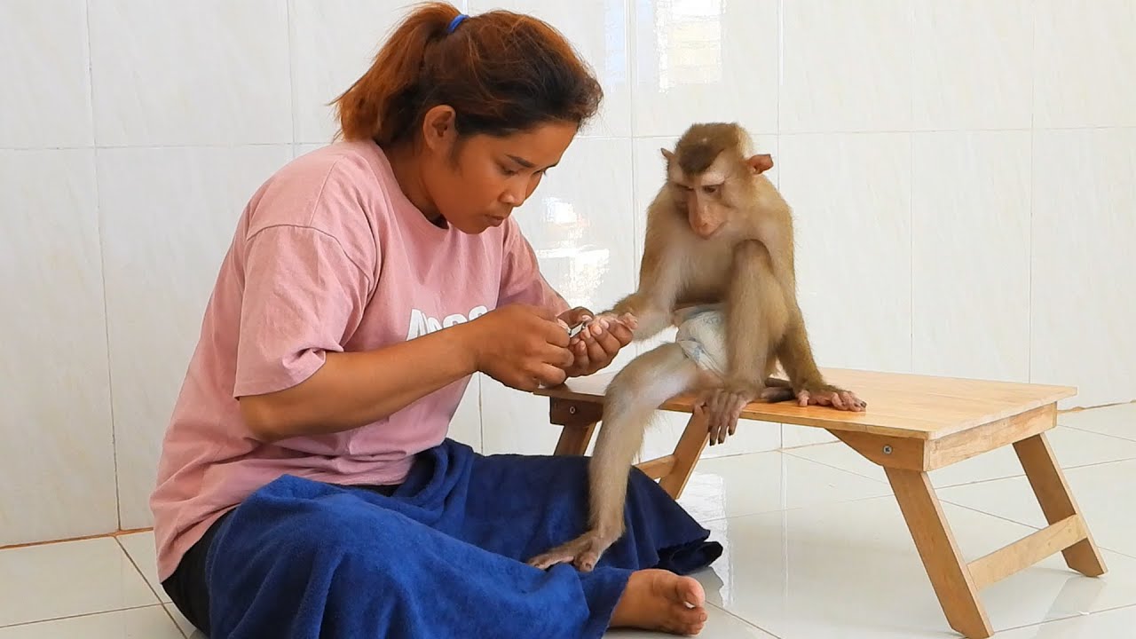 Smart Boy Kako Sitting On Table Wait Mom Clean Nails