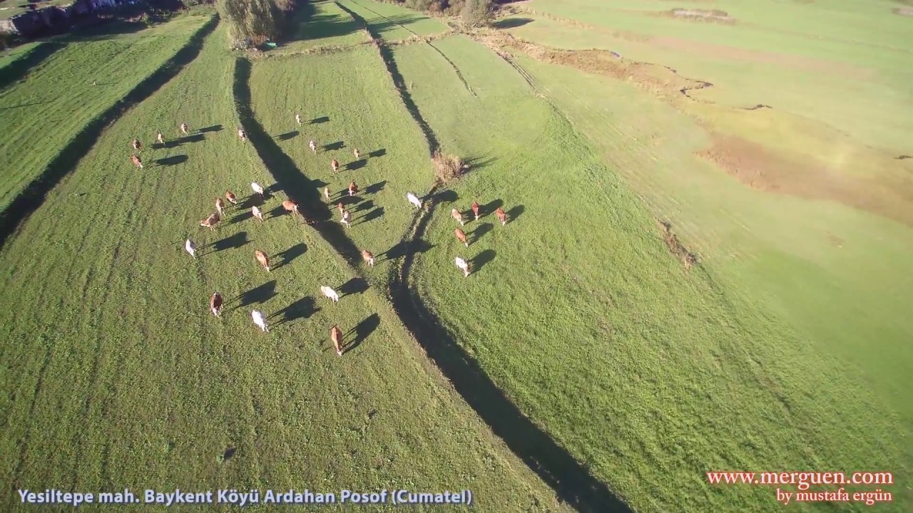 Ardahan Posof Baykent Vahla Yesiltepe mah. Cumatel by merguen 4K