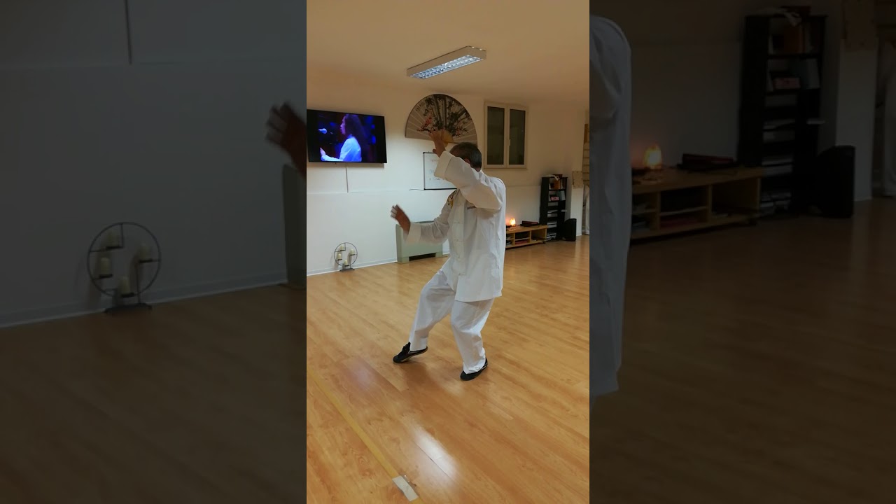 viet taichi ( Thái cực chưởng )