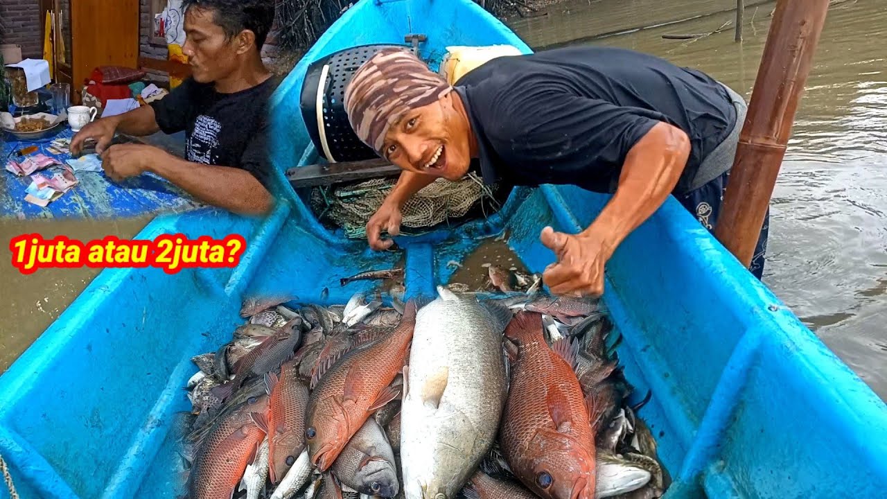 Rejeki Nomplok!! Pasang Perangkap Dapat Banyak Ikan Kakap Besar Hasilnya Langsung Jual