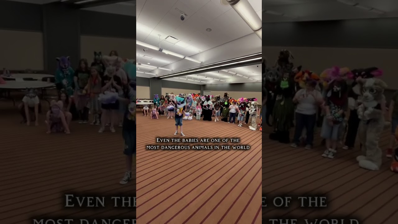 Anthrocon day 1 so far!!! 