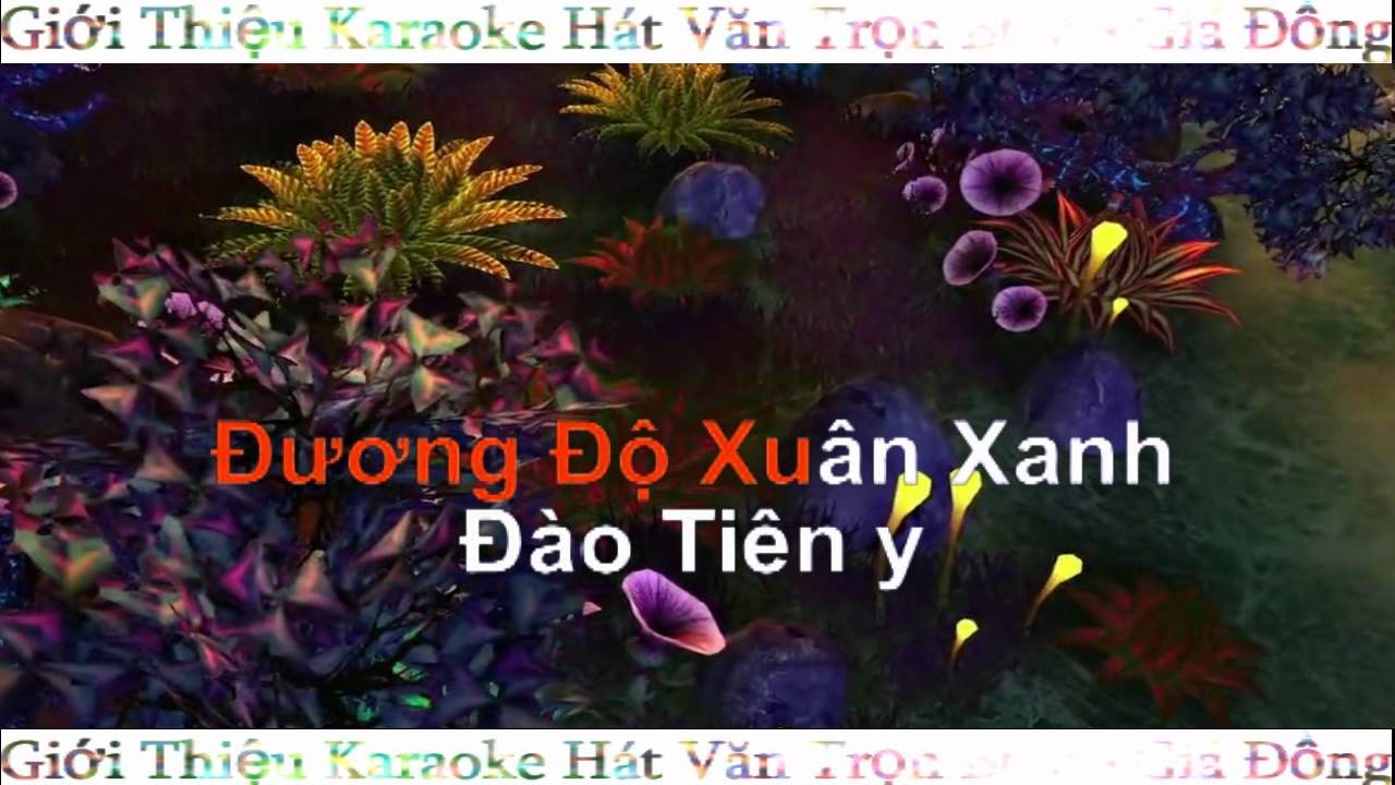 Hat Van Karaoke