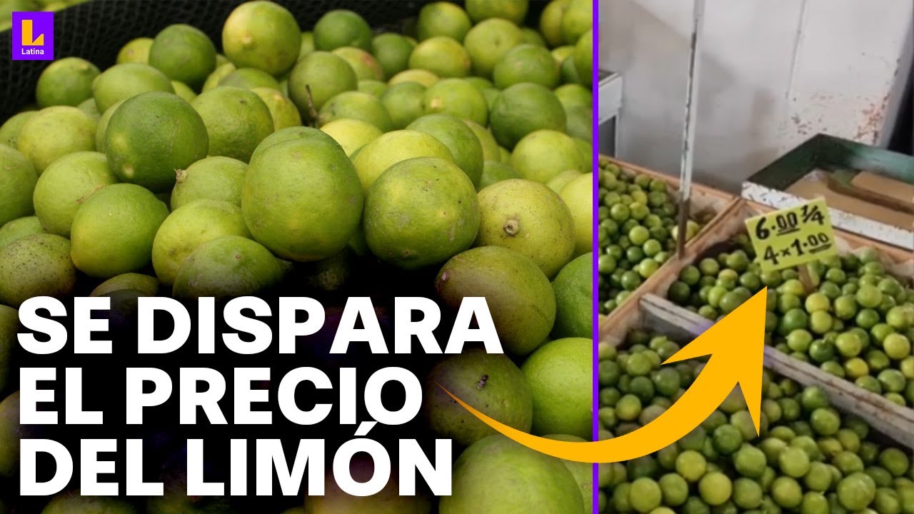 Venden limón a 1 sol la unidad: ¿A qué se debe este aumento de precio?