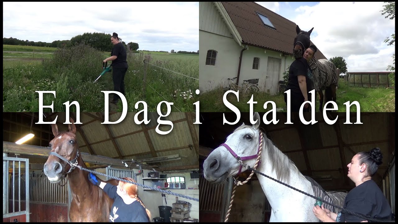 En Dag i Stalden