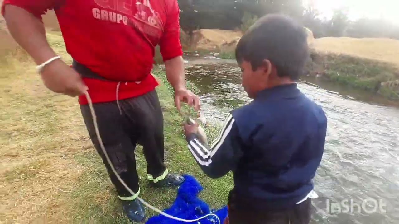 INCREIBLE PESCA CON ATARRAYA:  TRUCHAS EN RIO DE JUNIN.