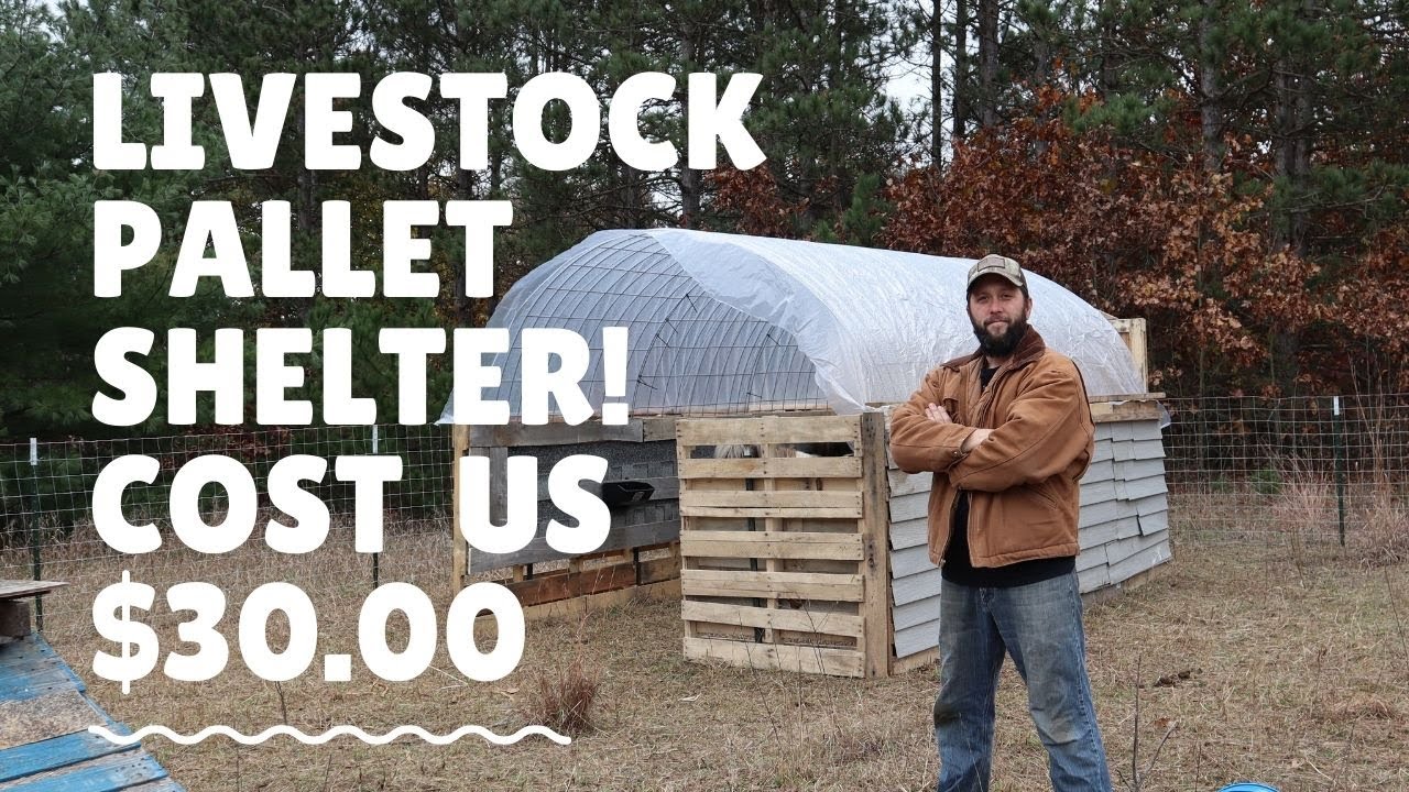 Hold your Horses, this shelter only cost us $30 00| Farm Vlog