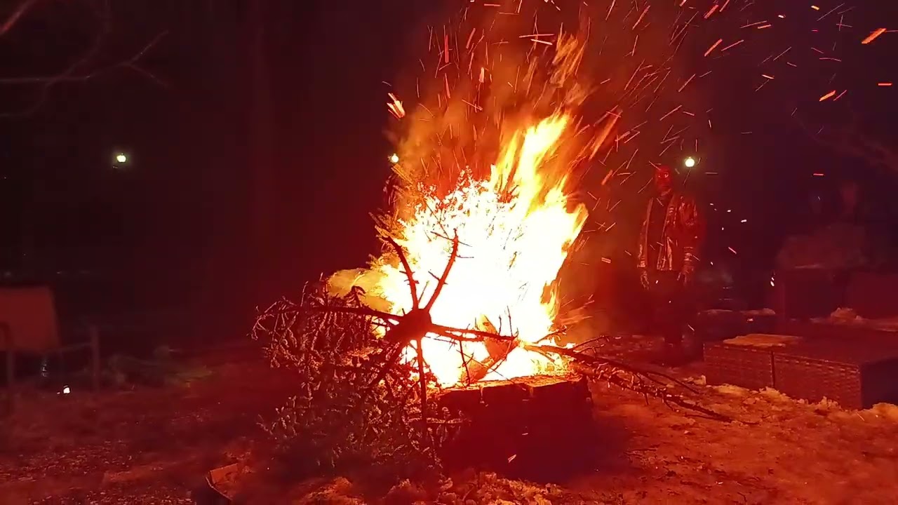 Can you think of a better way to give your Christmas tree a sendoff?