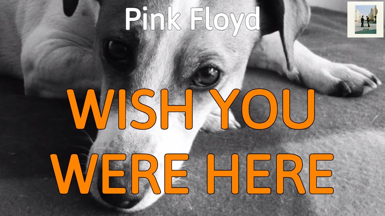 Pink Floyd - Wish You Were Here (Guitar Cover by Luca Pilia)