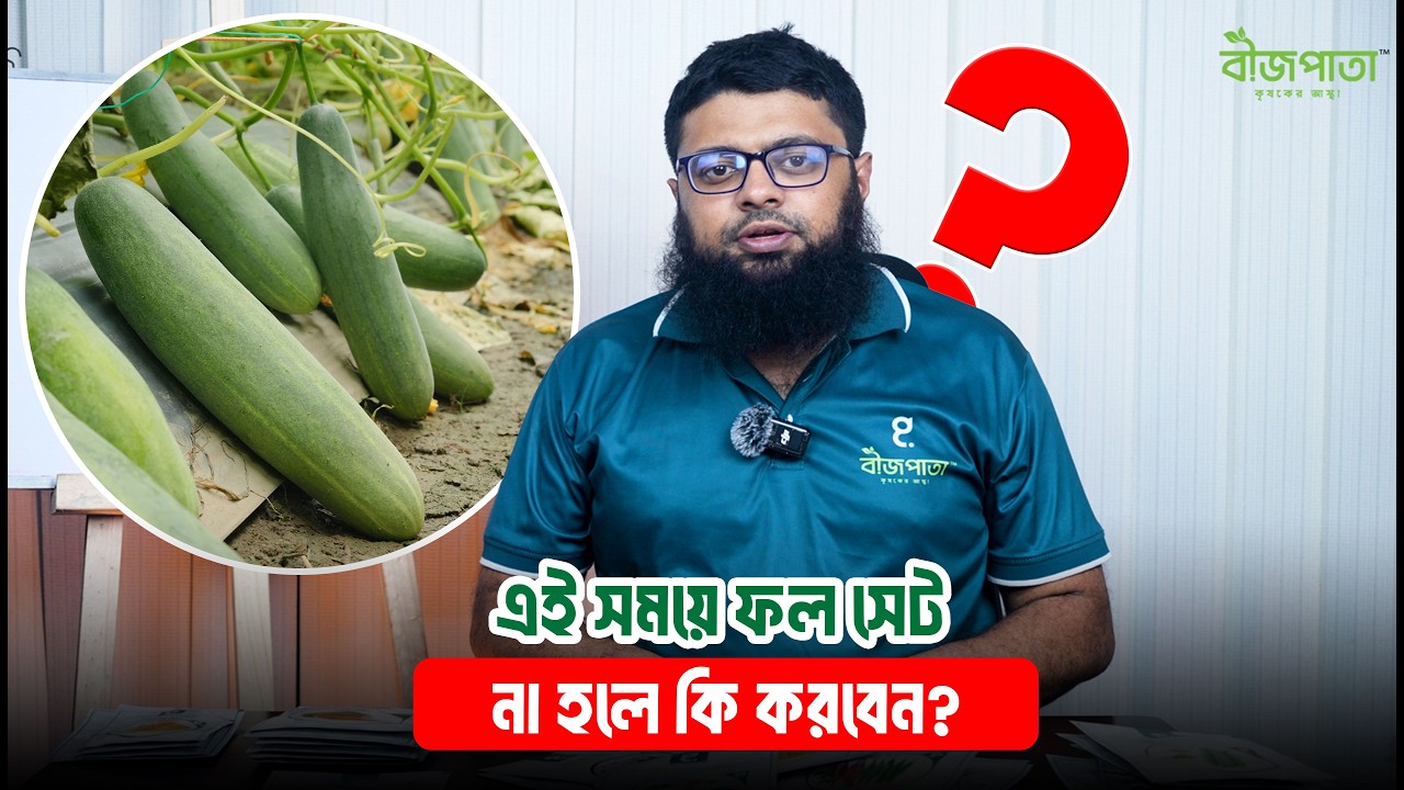 কৃষক ভাইয়েরা জানুন! ফল সেটের আসল রহস্য #bizpata